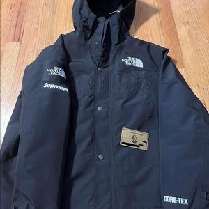 Supreme The North Face Arc Logo Winter Jacket